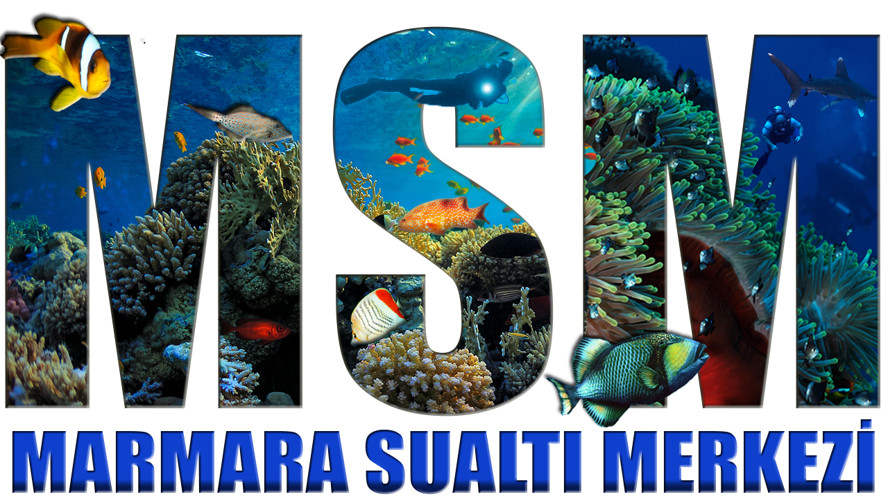 Marmara Sualtı Merkezi