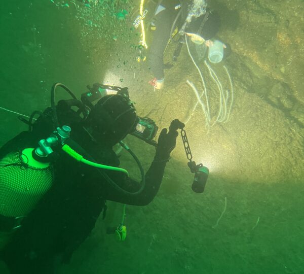 Rescue Diver