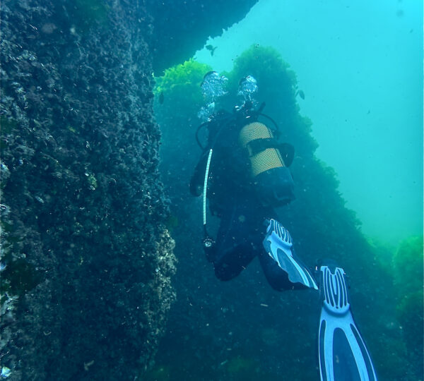 DiveMaster
